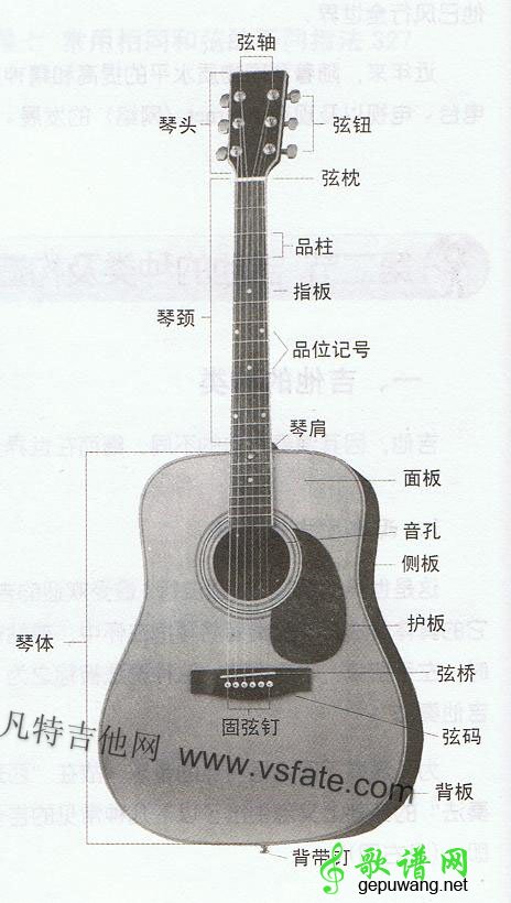 吉他入门教程一:现代吉他种类以及吉他结构图